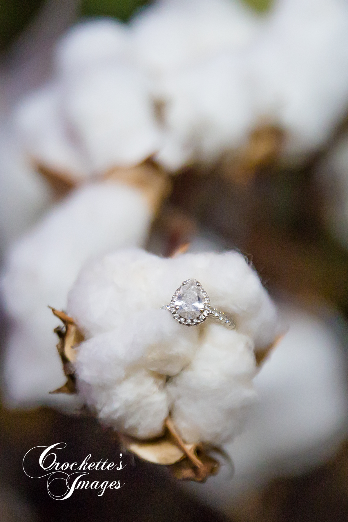 engagement ring on cotton bowl