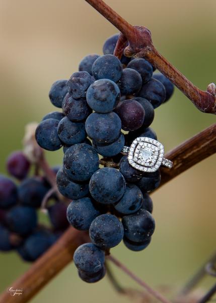 engagement ring on grapevine at winery