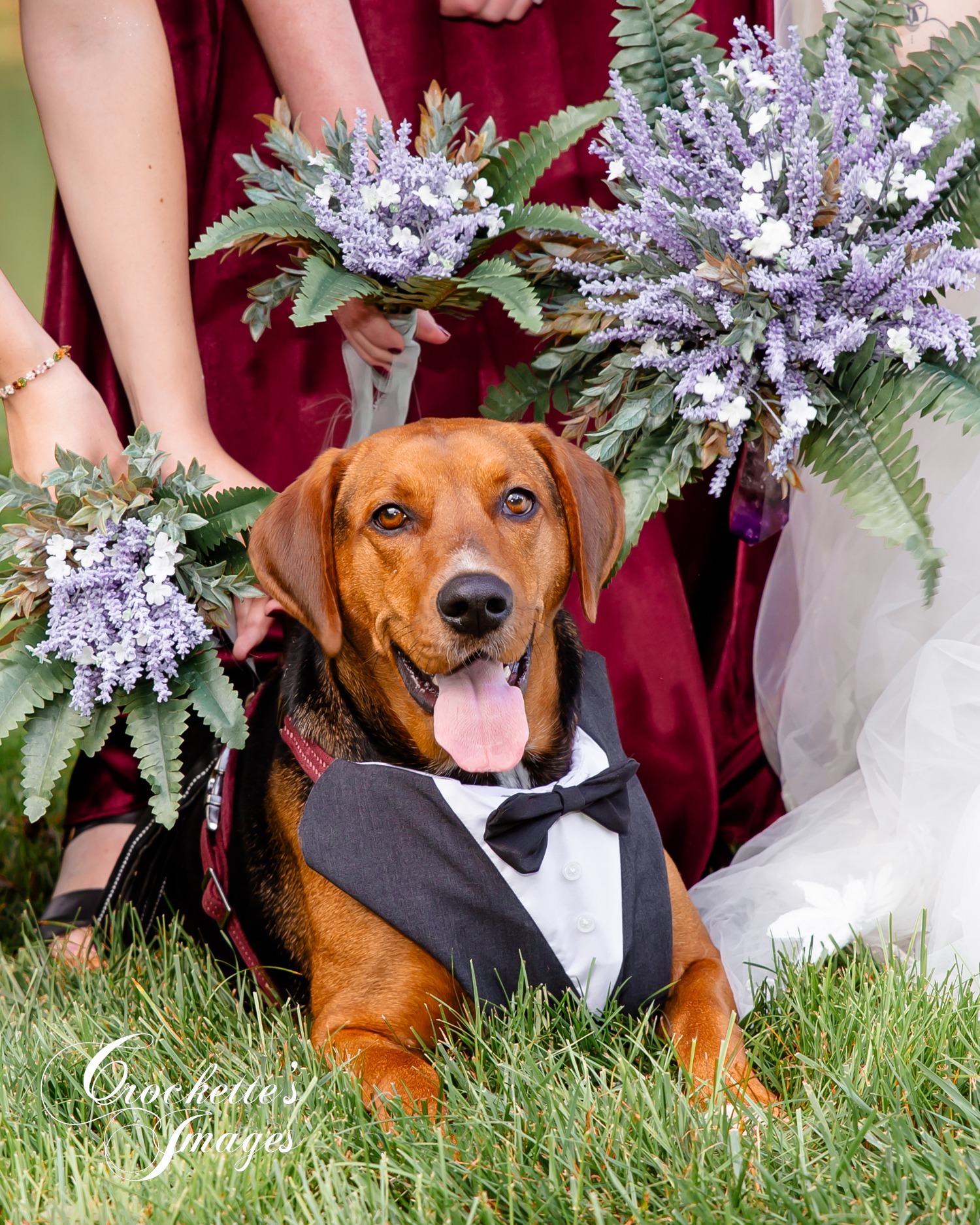 Including your dog on your wedding day