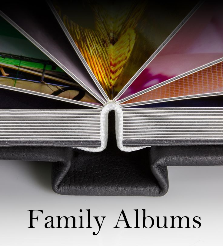 Family Album with Crockette's Images