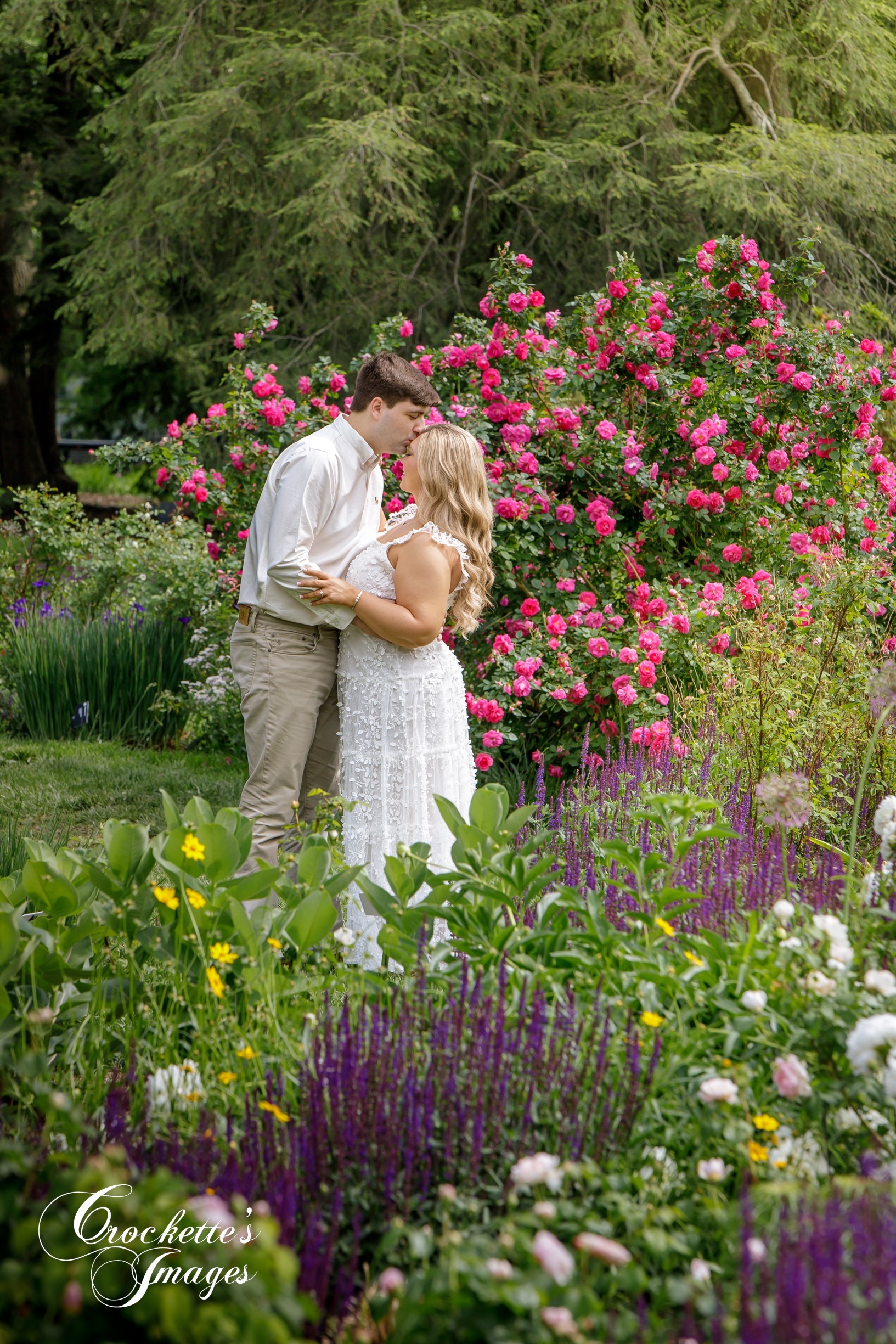 Engagement photo with Crockette's Images at St. Louis, MO. Botanical Garden