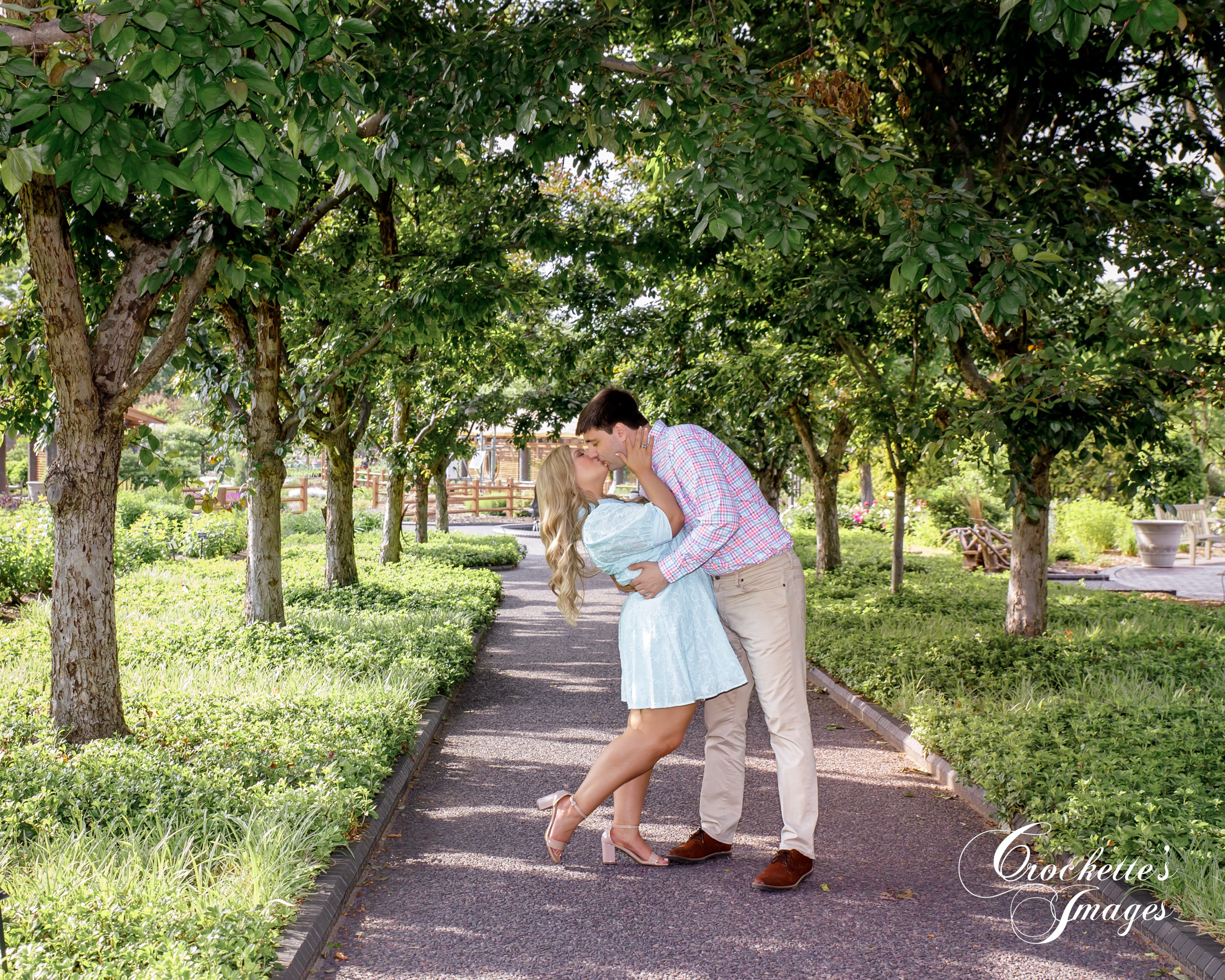 Engagement photo with Crockette's Images at St. Louis, MO. Botanical Garden